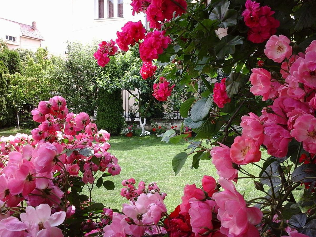 Casa Monica Hotell Băile Felix Exteriör bild