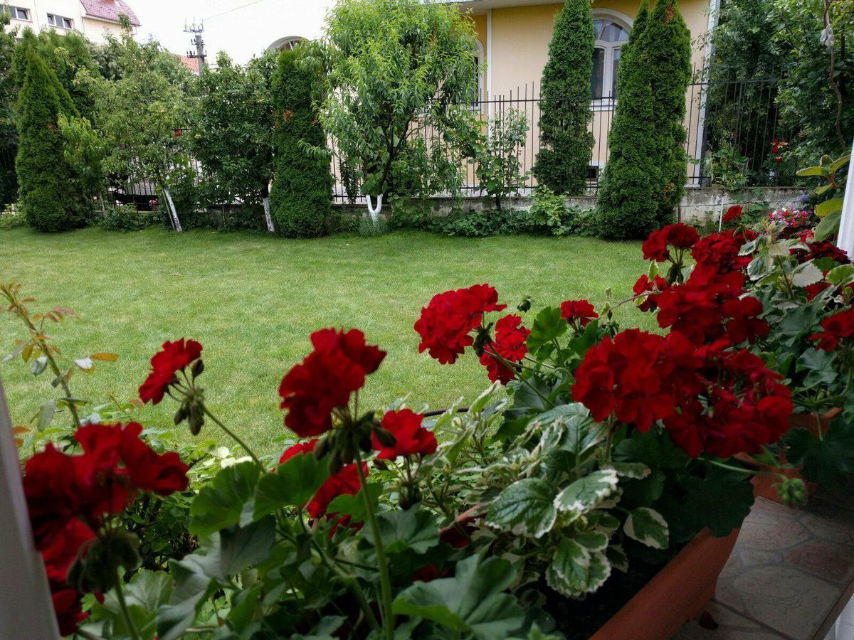 Casa Monica Hotell Băile Felix Exteriör bild