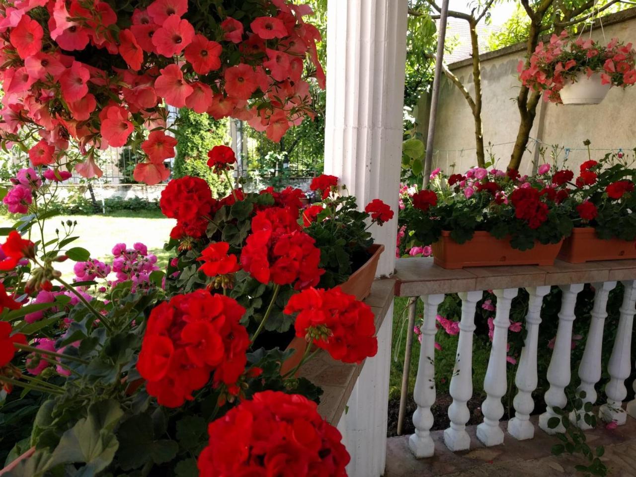 Casa Monica Hotell Băile Felix Exteriör bild