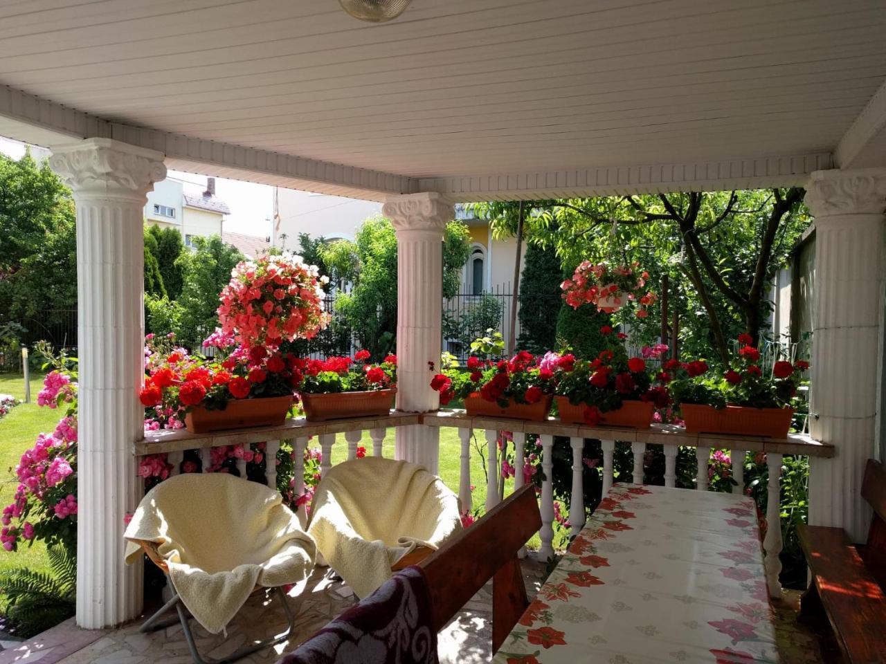 Casa Monica Hotell Băile Felix Exteriör bild