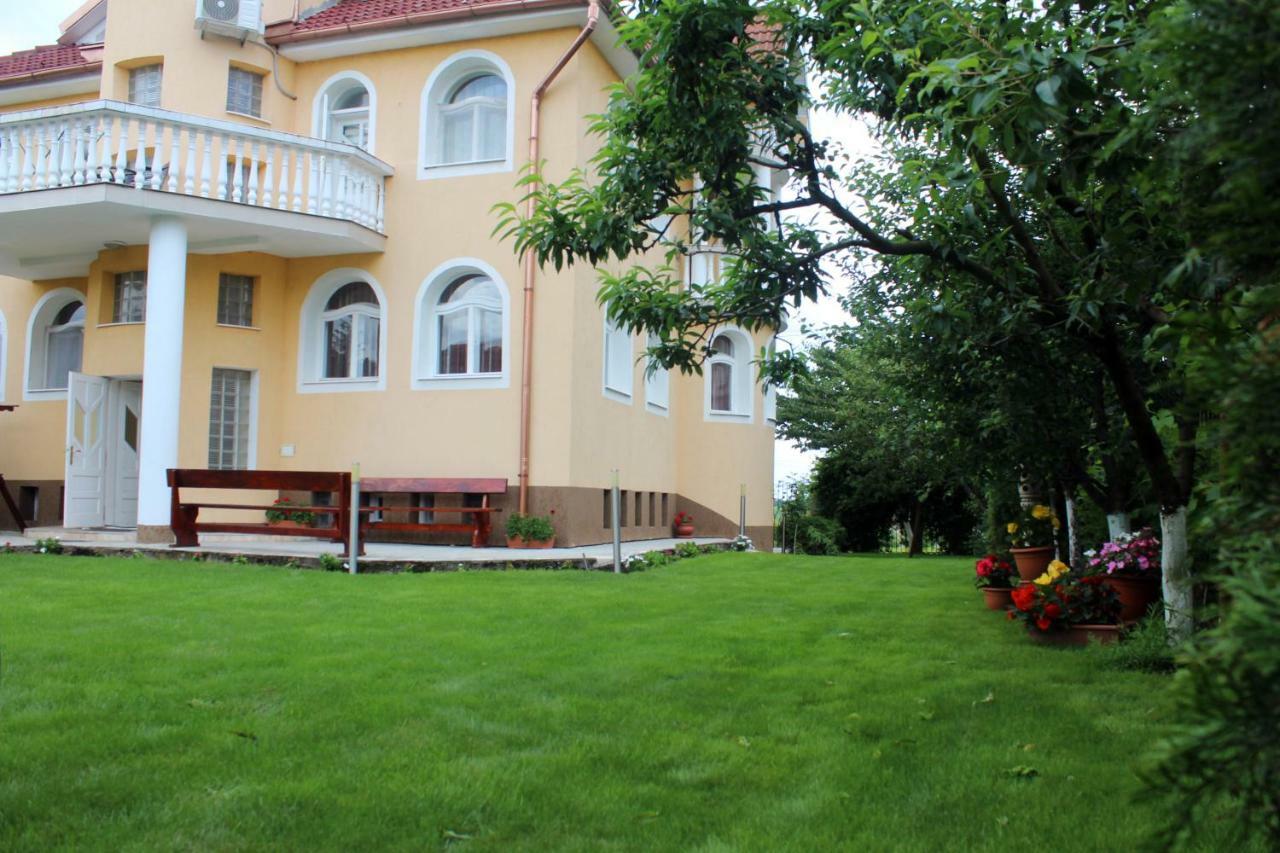 Casa Monica Hotell Băile Felix Exteriör bild